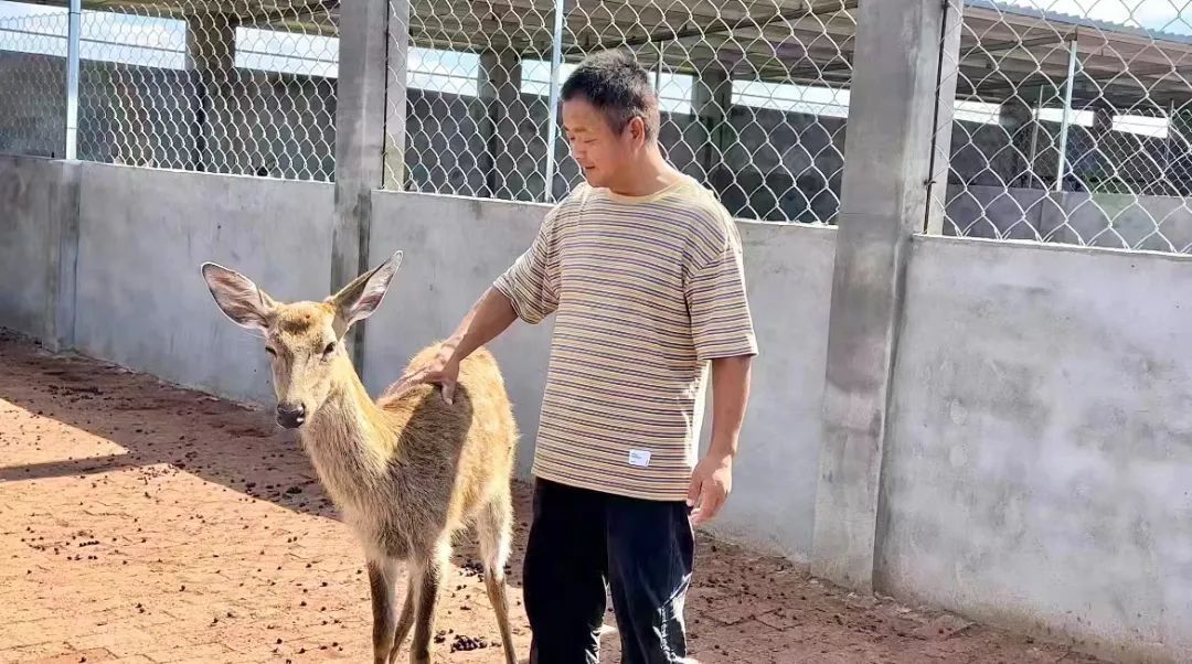 云顶集团办理大厅
